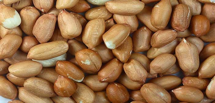 চীনাবাদাম