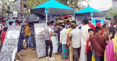 জেব্রা