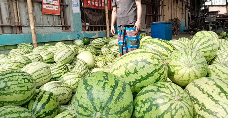 তরমুজ