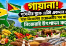 পৃথিবীর একটি মাত্র দেশ নিজেদের সব খাবার নিজেরাই উৎপাদন করে